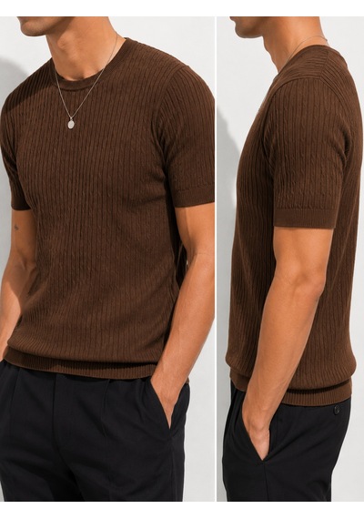 Ribana Erkek Kısa Kollu Bisiklet Yaka Esnek T-shirt 26022 Kahverengi