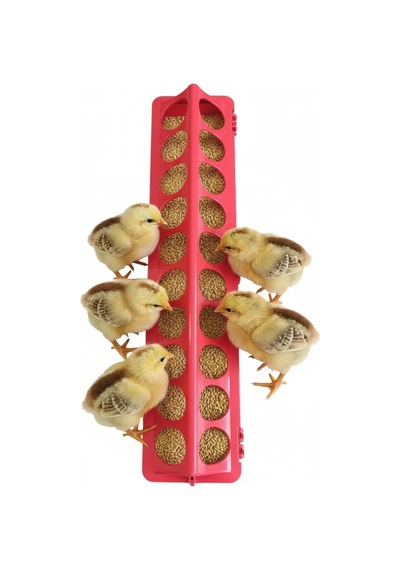 Bıldırcın Civciv Yemlik 50cm