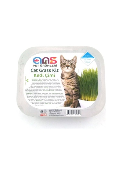 Ans Kedi Çimi