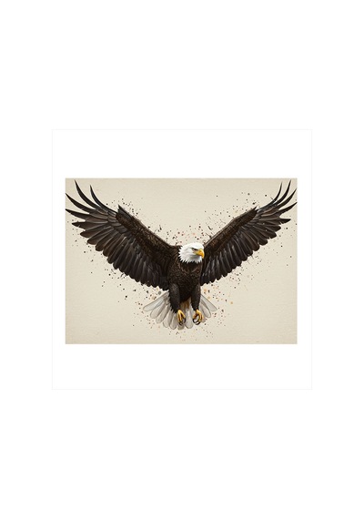 Kartalın Özgür Uçuşu Art Mdf Tablo