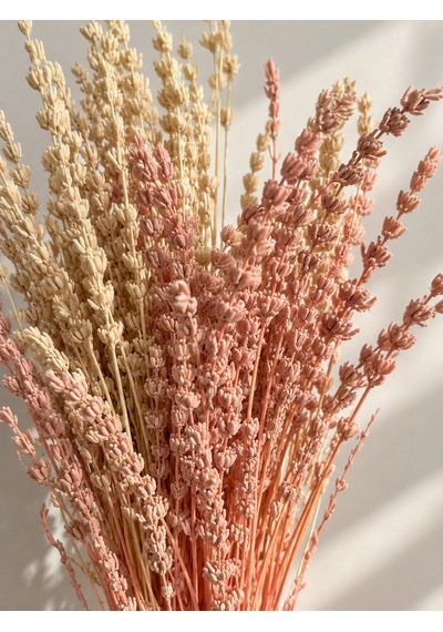 Pastel Renkli Kurutulmuş Dekoratif Lavanta Buketi Krem - pembe