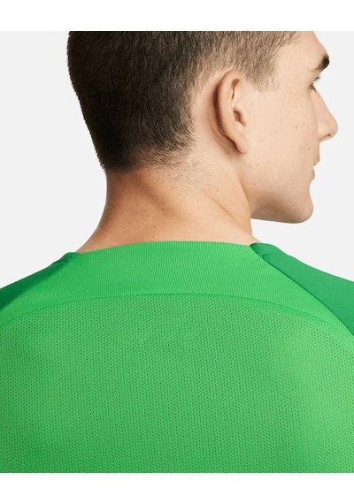 Nike Dh9225-329 M Nk Df Acdpr Ss Top K Erkek Spor Tişört 001