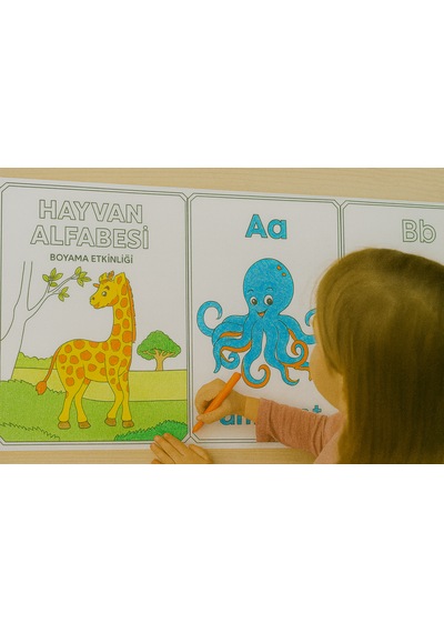 Haydi Dekor 5 Li Okul Öncesi Eğitim Rulosu Seti + 5 Metre Hediye Boş Çizim Rulosu Toplam 28,5 Metre Mantık, Matematik, Hayvanlı Türkçe Alfabe, Okul Eşyaları Ve Karışık Etkinlik Seti 1 Paket Haydi Dekor 5 Li Okul Öncesi Eğitim Rulosu Seti + 5 Metre Hediye Boş Çizim Rulosu Toplam 28,5 Metre Mantık, Matematik, Hayvanlı Türkçe Alfabe, Okul Eşyaları Ve Karışık Etkinlik Seti 1 Paket