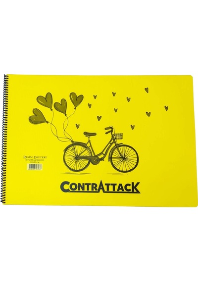 3 Adet Plastik Kapak Spiralli Resim Defteri 35 X 50 Cm 25 Yaprak