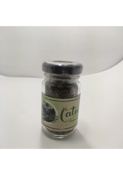 Catnip Doğal Kedi Otu - Kedi Nanesi