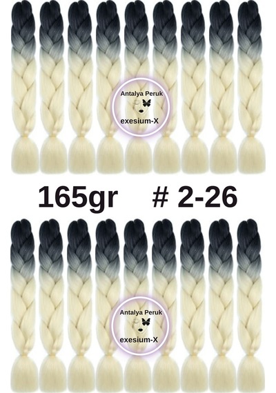 X-pression Afrika Örgüsü Ombreli Sentetik Saç 165 Gr 2-26