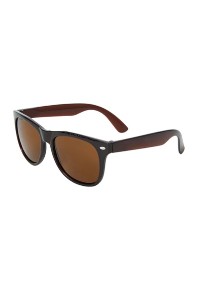 Carmelo Eyewear C01gk022 Polarize Kahverengi Kadın Güneş Gözlüğü