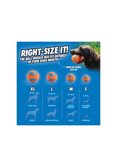 Chuckit Fetch Medley Gen 3 Ultra Ball, Fetch Ball, Rugged Ball 3&apos Lü Köpek Oyun Topu Seti O