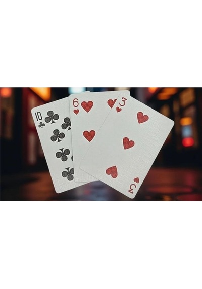 Aı Playing Cards Biker Dogs Premium Oyun Kağıdı Koleksiyonluk İskambil Kartları Destesi