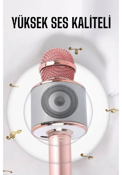 Taşınabilir Bluetooth Karaoke Mikrofon: Hafıza Kart Girişli, Etkileyici - Lisinya