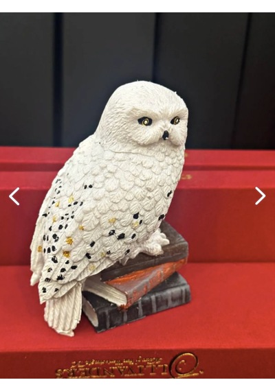 Harry Potter Baykuş Hedwig
