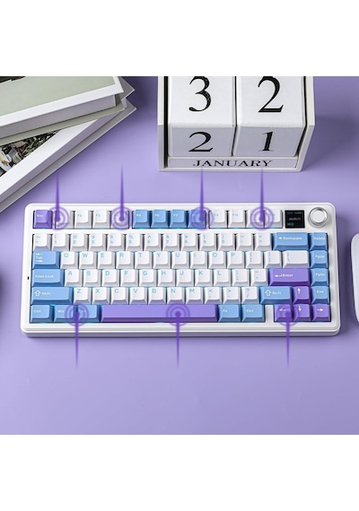 Aula F75 Max Mekanik Kablosuz Ve Kablolu Gaming Oyuncu Klavyesi Rgb Tkl Reaper Switch Hot Swap Makrolu Mor