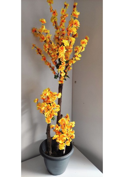 Rüzgar Çiçekcilik 140 Cm Sarı Bahardali Sarı