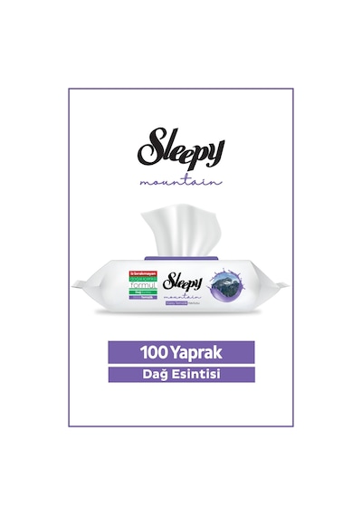 Mountain Yüzey Temizlik Havlusu&mendili Dağ Esintisi 100 Yaprak Diğer
