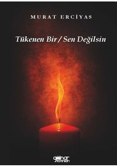 Tükenen Bir - Sen Değilsin - Murat Erciyas - Gülnar Yayınları