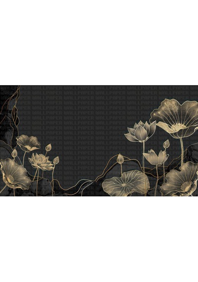 Siyah Zeminde Lotus Çiçeği Poster Duvar Kağıdı Renkli