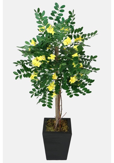 Yapay Çiçek Deposu Yapay Sibirya Bezelye Ağacı Caragana Arborescens 120 Cm