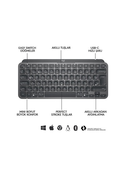 Logıtech Mx Keys Mını Mınımalıst Kablosuz Bluetooth Aydınlatmalı Q Tr Klavye Siyah 920-010504 Lazer