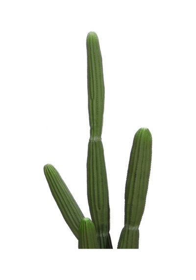Yapay Çöl Kaktüsü 160 Cm-10432