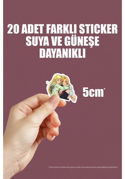 Fullmetal Alchemist Brotherhood Anime Sticker Paketi 20 Adet Çok Renkli