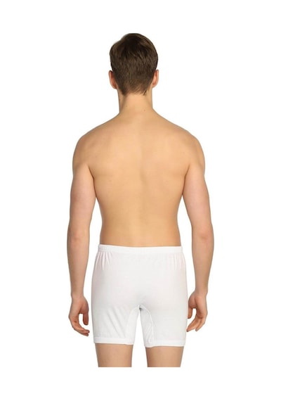 Gümüş Erkek Arjantin Boxer 3007 - 6 Adet