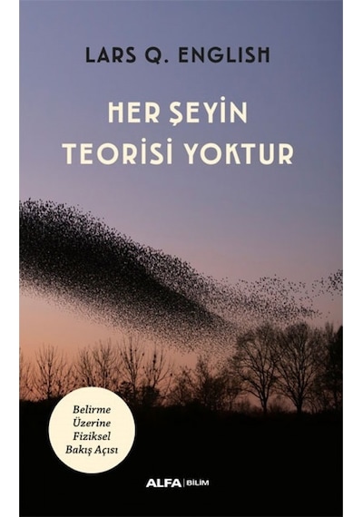 Her Şeyin Teorisi Yoktur  - Lars Q. English  - Alfa Yayıncılık