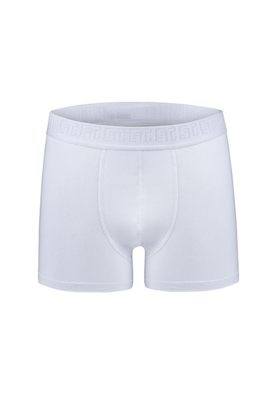 Efsi 3019 Erkek Boxer 001