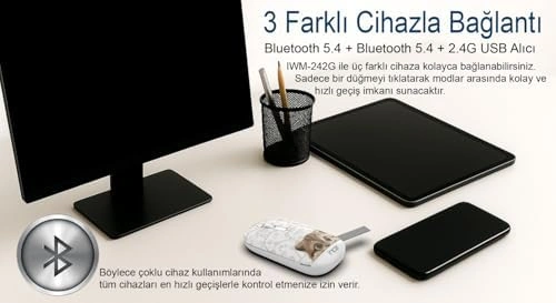 Inca Iwm-242kt Çift Mod Şarj Edilebilir Kedi Desenli Sessiz Mouse, Bluetooth 5.4 + 2.4g, 500mah, 70g, Beyaz
