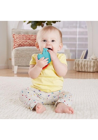 Fısher Prıce-fisher Price Sevimli Hayvancıklar Dişlikler Mavi Fil Gyn25