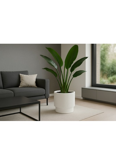 Serinova Çizgili Silindir Saksı No:3 26285409