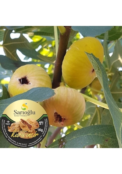 Sarıoğlu Tarım Ürünleri Kuru İncir 1 KG