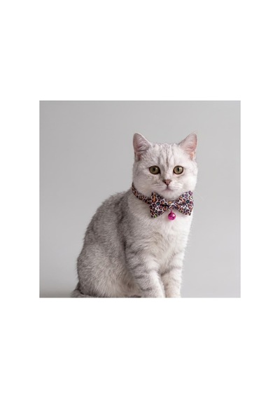 Zilli Kedi Papyon Tasması 2'li Avantaj Seti