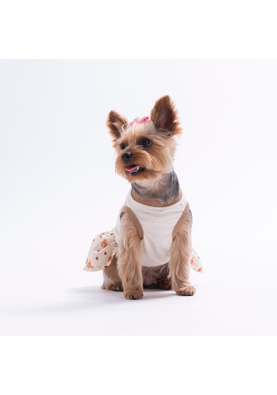 Teddy Belle Ayıcık Desenli Kedi Köpek Elbisesi - Kedi Köpek Kıyafeti