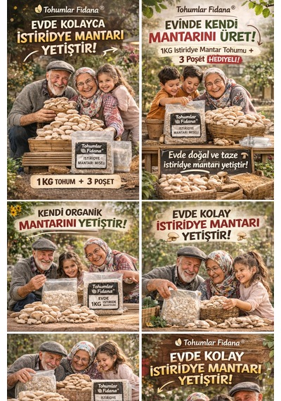 İstiridye Mantarı Miseli Tohumu Vakumlu 1 Kg Tohum 3 Adet Micro Delikli Torba Ekim Kılavuzu