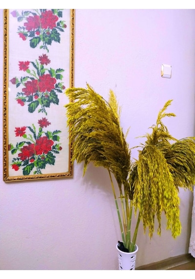 Büyük Demet Pampas Sarı 100cm Boyunda 8'li