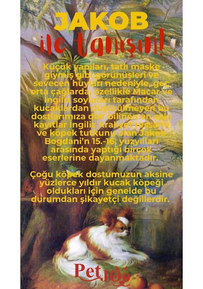Petjoo 8.Jakob Kırmızı-Sarı Qr'lı Köpek Künyesi
