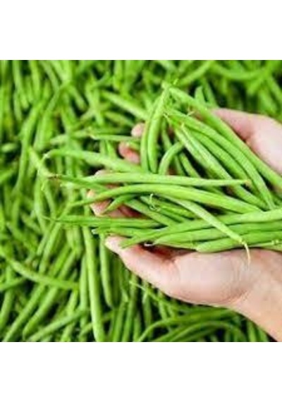 30 Adet Tohum Nadir Sırık Acebek Fasülye Tohumu Hasat
