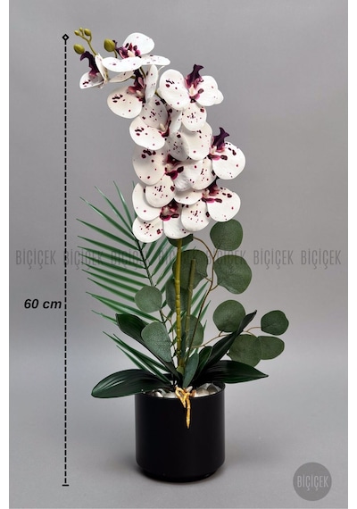 Yapay Phalaenopsi S Beyaz Benekli Orki De 60 Cm Siyah