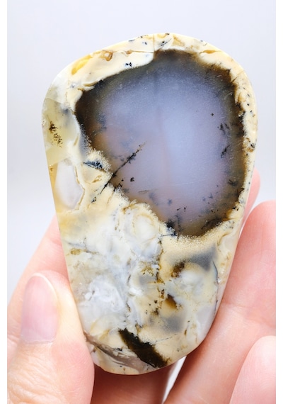 Nadir Renkli Merlinite Dilimi İki Taraflı Cila Honey & Mavi Dendritik Opal - Manzara Koleksiyon Ta