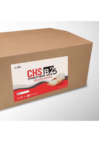 Milk Proses Chs B25 Beyaz Peynir Protein Mix/ Peynir Proteini / 20 Kg