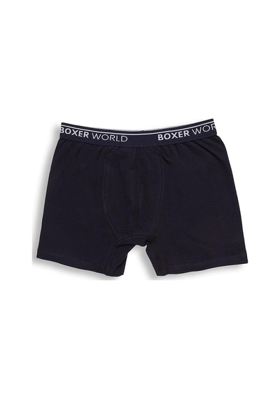 3'Lü Erkek Likralı Boxer 14100-A3