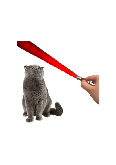 Gees Global 3 Fonksiyonlu Kırmızı Beyaz Işıklı Led Lazer Kedi Köpek Oyuncak Anahtarlık - 1 Adet Stokta Olan Renk Gönderilir Gbzs