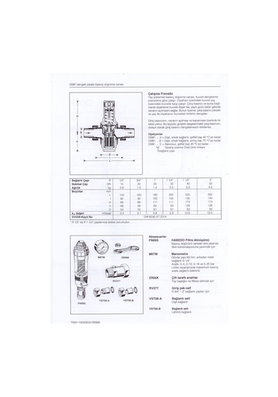 D06F-3/4A Honeywell Su Basınç Düşürücü (Maks. 16 Bar) - Filtreli