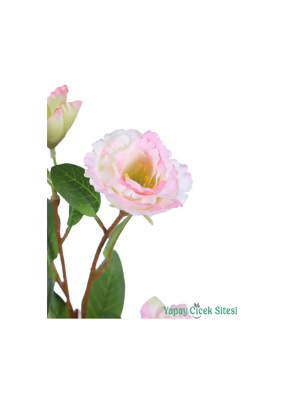 Yapay Çiçek Sitesi Yapay Lisyantus Dalı 70cm Krem Pembe