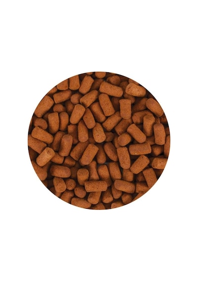 Soft Line Fish 10lt 3,2kg
