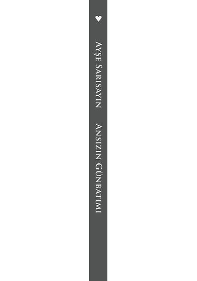 Ansızın Günbatımı - Ayşe Sarısayın - Can Yayınları