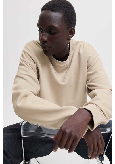 Jack & Jones Jjeace Sweat Crew Neck Noos Bej