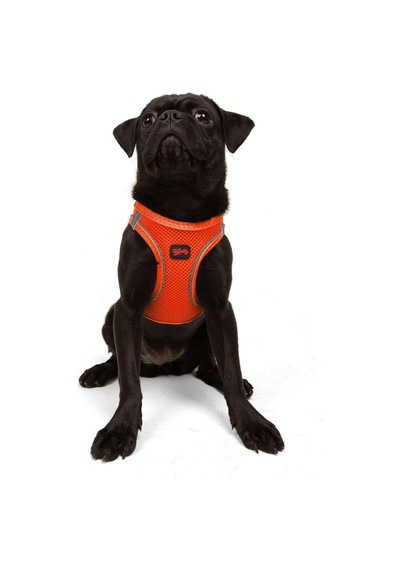 Air-mesh Küçük Ve Orta Irk Kedi Köpek Göğüs Tasması - Yumuşak, Nefes Alabilir, Dayanıklı Neon-turuncu, Medium