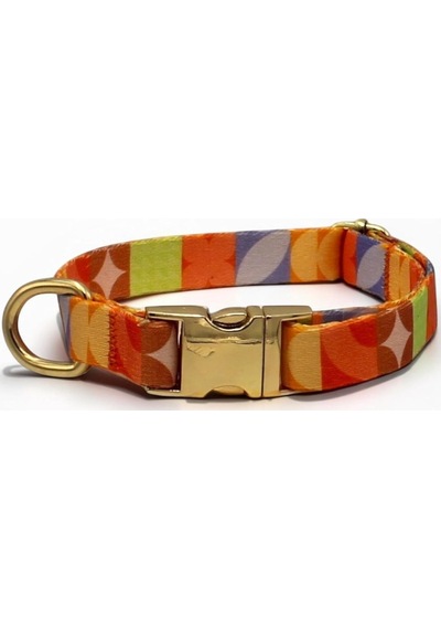 Caramelos İsimli Köpek Tasması, Küçük Irk Ve Yavru Köpek İçin, Metal Kilit, 1,5 Cm Turuncu, Small Genel