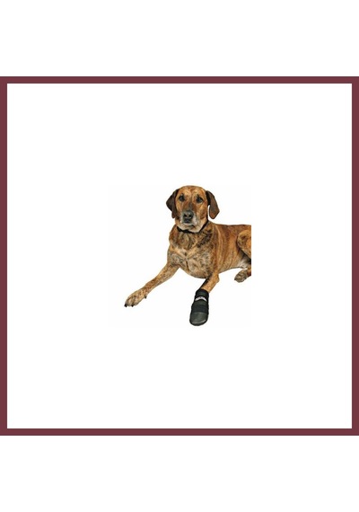 Storeşahin Neopren Köpek Patiği 2 Adet Siyah Xxxl Shn0720